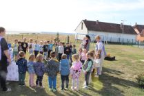 IMG 4091