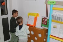 IMG 4376