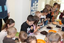 IMG 4383